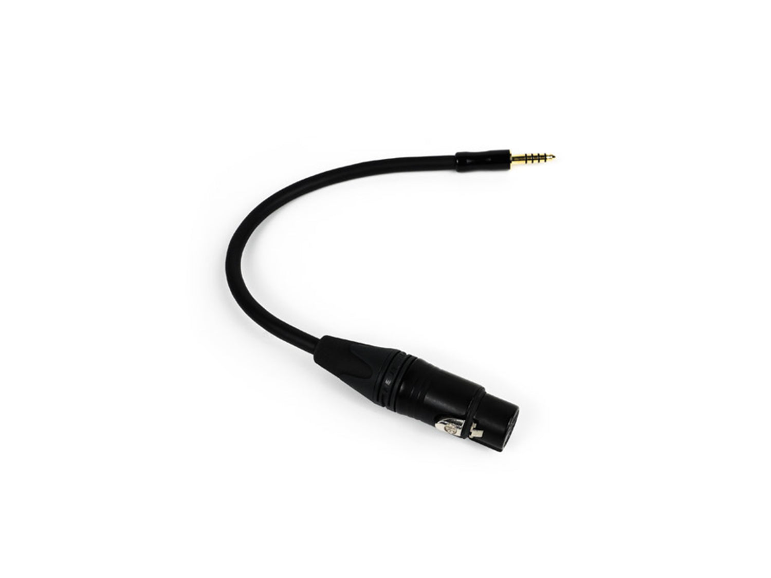 Aune AR1 Reference 4.4mm to 4-pin XLR adapter