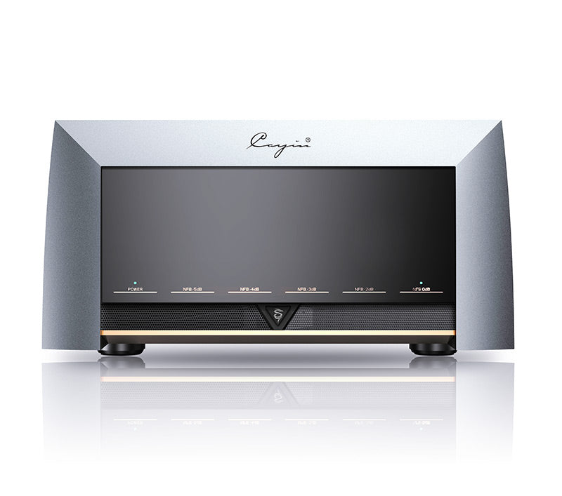 Cayin CS-845M Tube Power Amplifier (Call/Email For Availability)