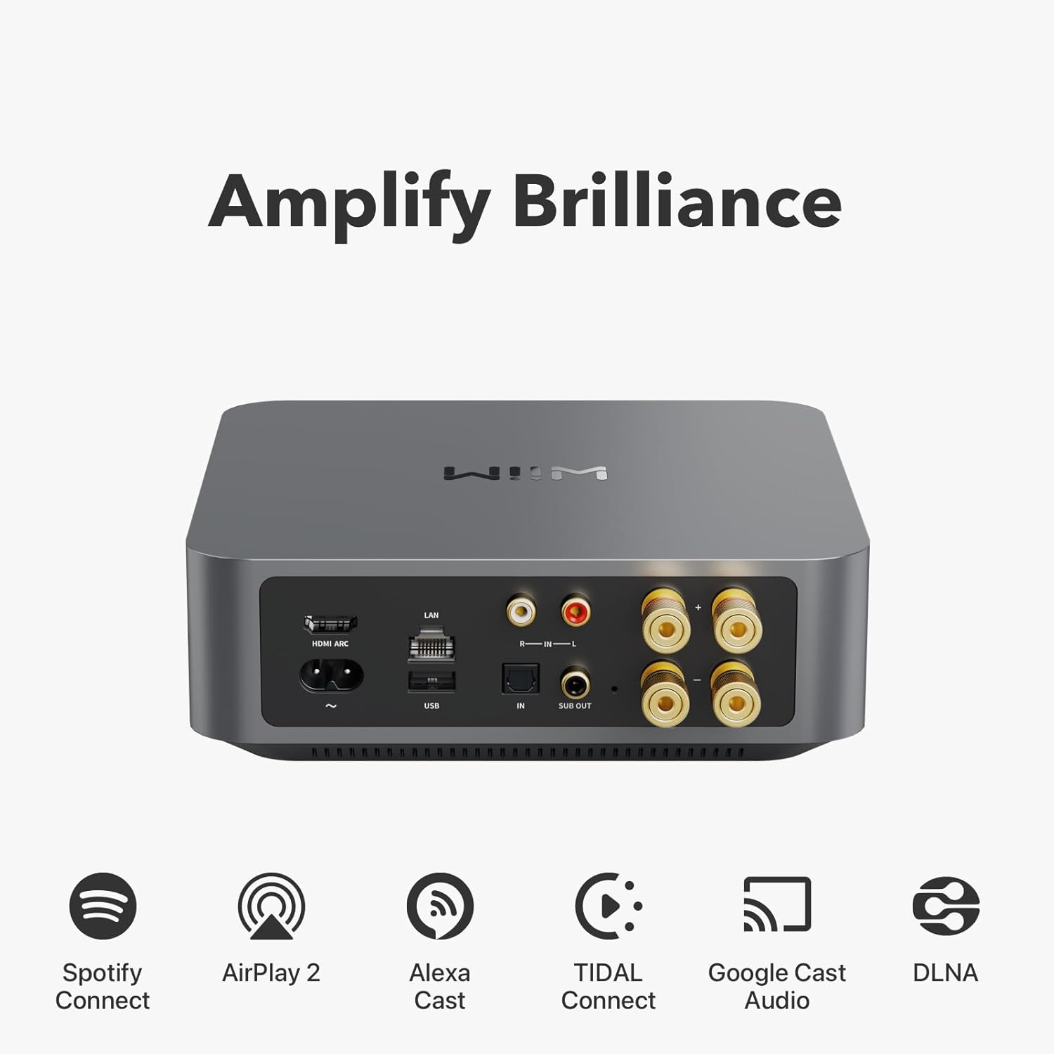 WiiM Amp Multiroom Streaming Amplifier